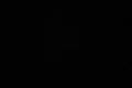Термотрансферная пленка NOVA-FLEX WEED EX 1002 черная, быстрая выборка, 0,50 x 10 м
